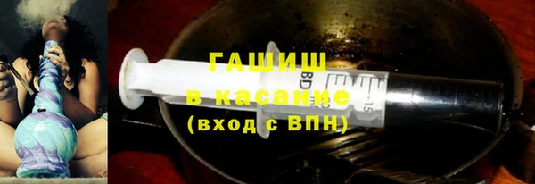 хмурый Аркадак