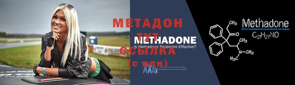 хмурый Аркадак