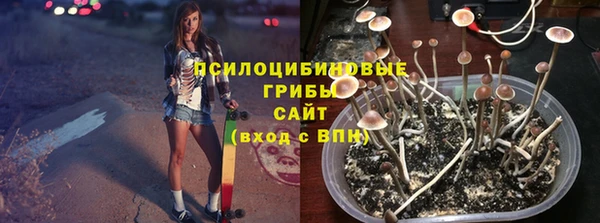 МДПВ Армянск