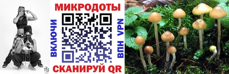 Псилоцибиновые грибы Psilocybe Нарткала